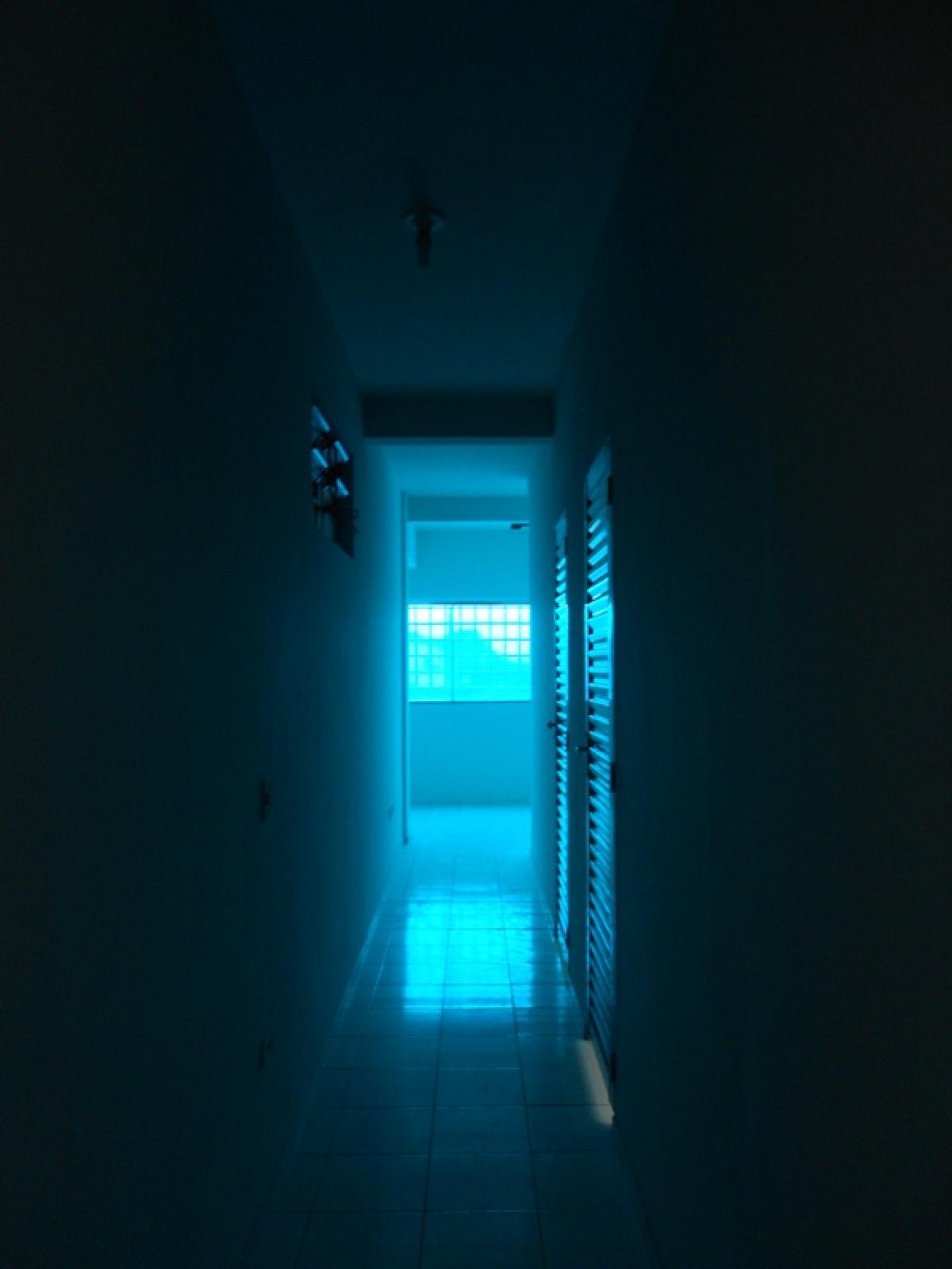 img7